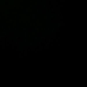 Meet your Posher, Johnny